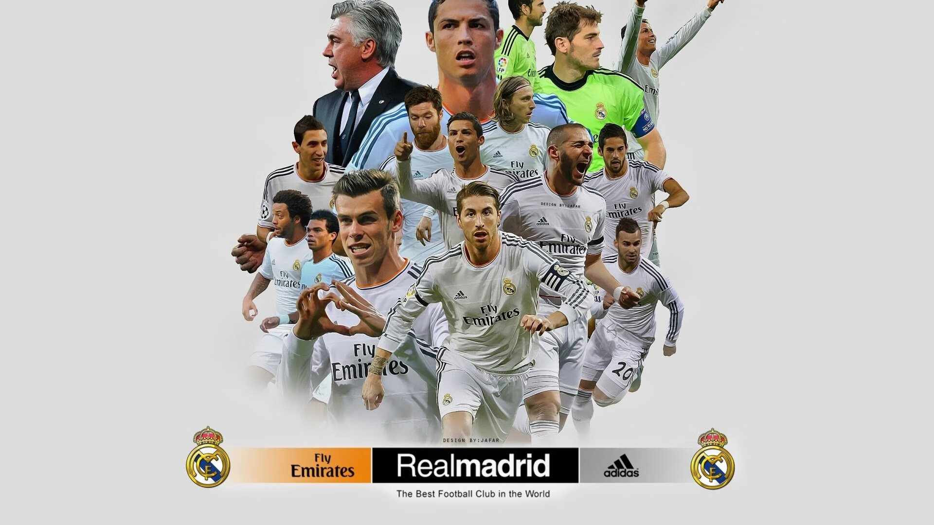  澳大利亚杨明兰简历 